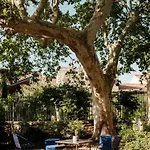 Historic Mansion In The Heart Of Provence Casa de Férias Saint-Laurent-de-Brevedent