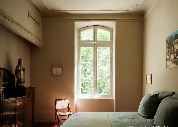 Historic Mansion In The Heart Of Provence Saint-Laurent-de-Brevedent