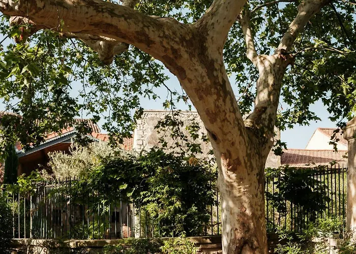 Historic Mansion In The Heart Of Provence Holiday home Saint-Laurent-de-Brevedent