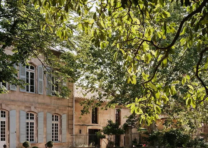 Holiday home Historic Mansion In The Heart Of Provence *